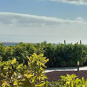 Landhaus The Black Horse Canarias - Adults Only